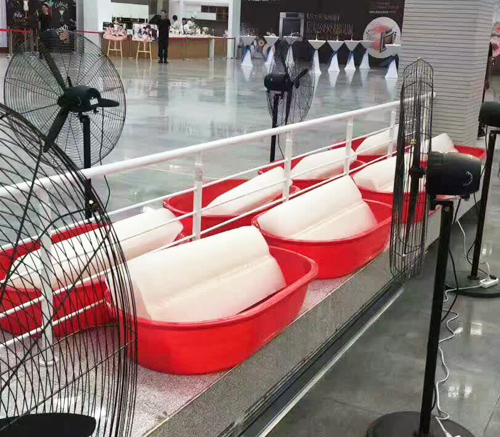 西安色黄香蕉一区视频冰塊